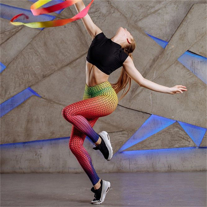 Gradient Flow Mesh Leggings